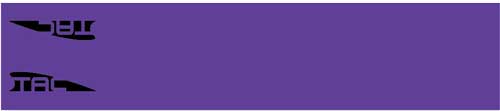 TAC VANES Purple Standard 4.675" Arrow Wraps 13-Pack