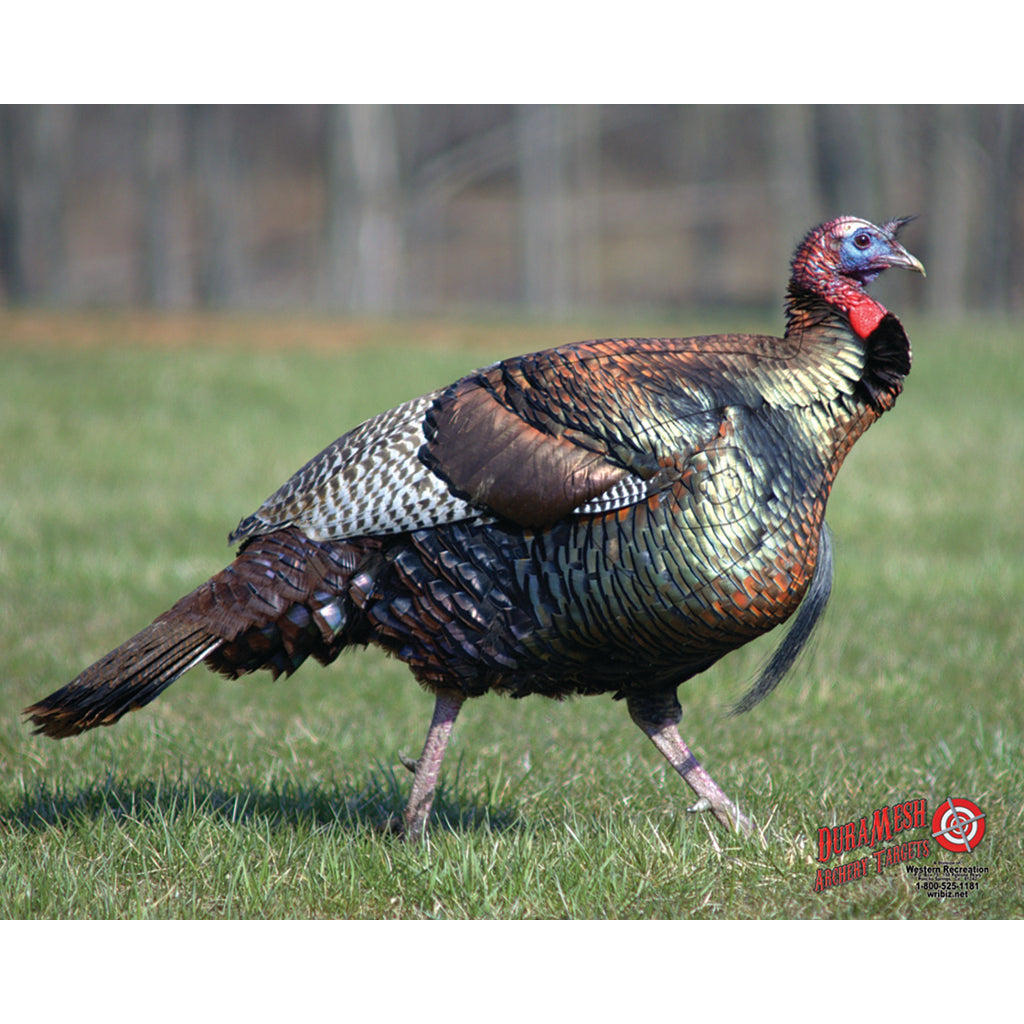 DuraMesh Durable Turkey Archery Practice Target 25 in. x 32 in.
