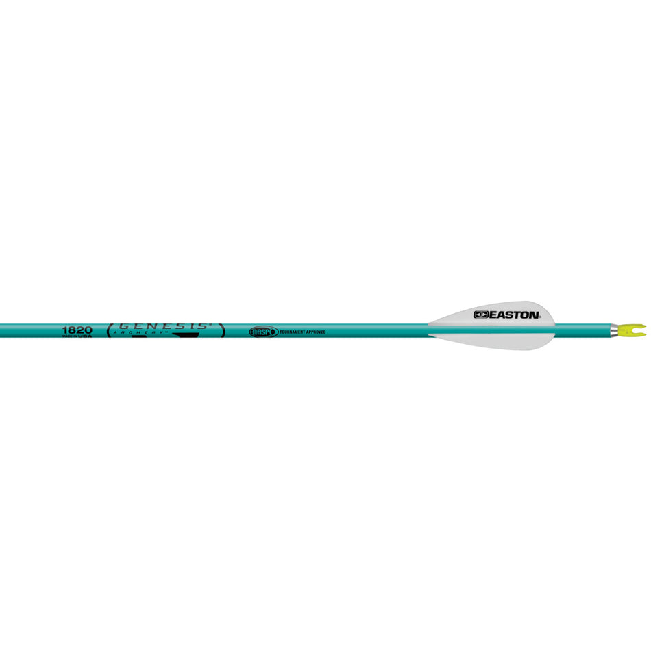 Easton Genesis Teal Aluminum 1820 Target Arrows 6-Pack with Nocks