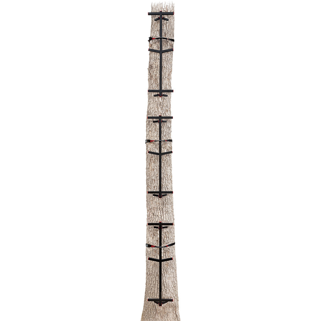 Primal Fast Stick Lightweight Steel Climbing Sticks Set of 3