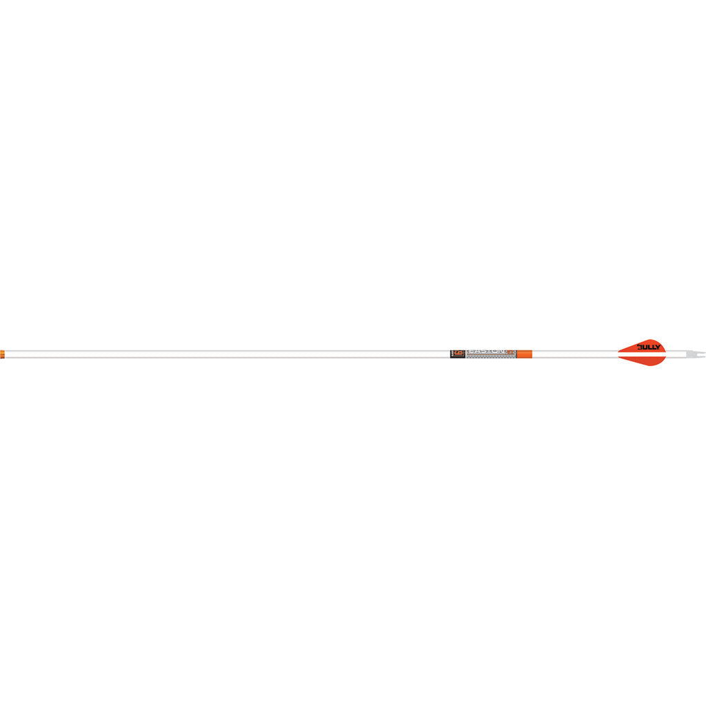 Easton Arrow 6.5MM Whiteout 300 Spine with Bully Vanes 6-Pack
