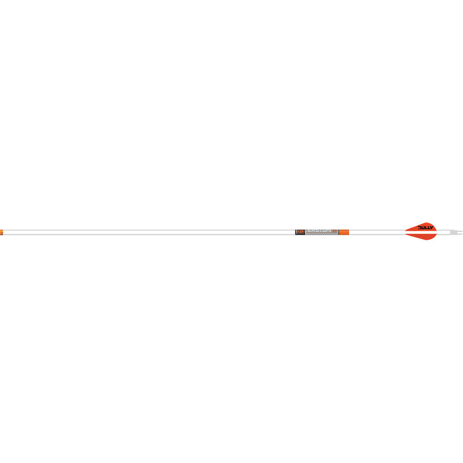 Easton Arrow 6.5MM Whiteout 300 Spine with Bully Vanes 6-Pack