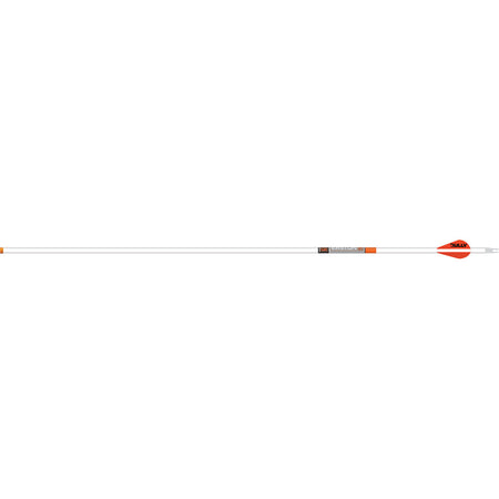 Easton 6.5 Whiteout Carbon Hunting Arrows 500 2 in. Bully Vanes 6 pk.