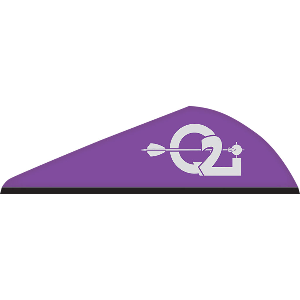 Q2i Rapt-X Violet 100-Pack 2 in. Arrow Vanes