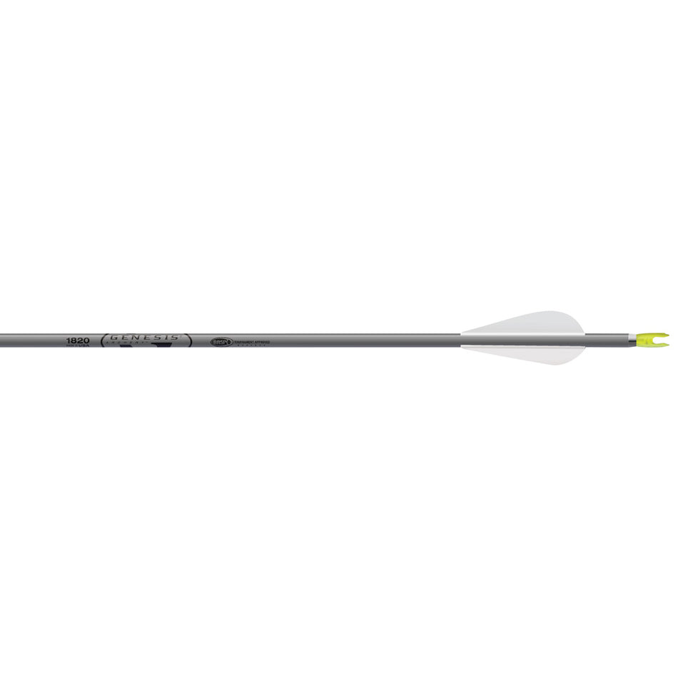 Easton Genesis NASP Approved Arrows Silver 3 in. Vanes 6-Pack
