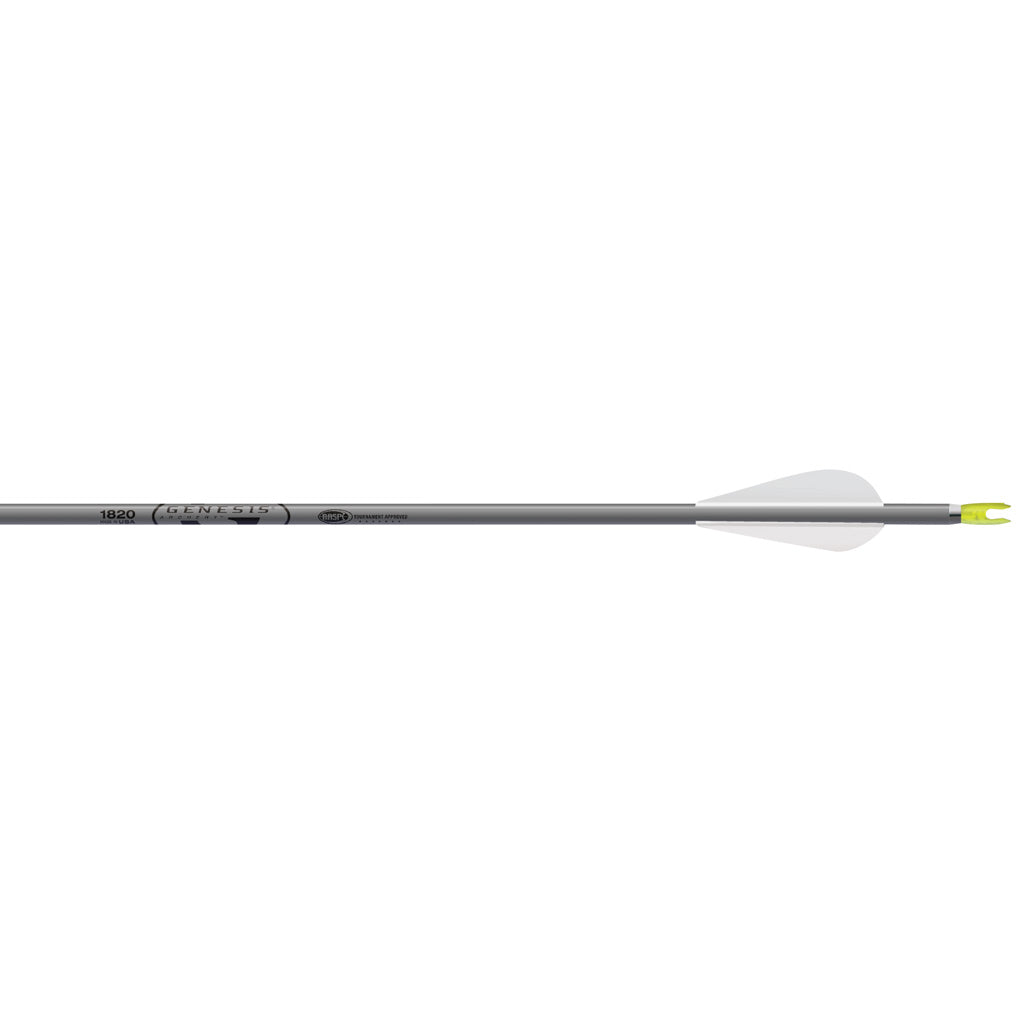 Easton Genesis NASP Approved Arrows Silver 3 in. Vanes 36-Pack