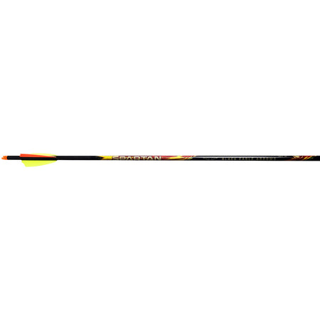 Black Eagle Spartan 250 Spine .001 2.5 in. Vane Arrows 6 Pack