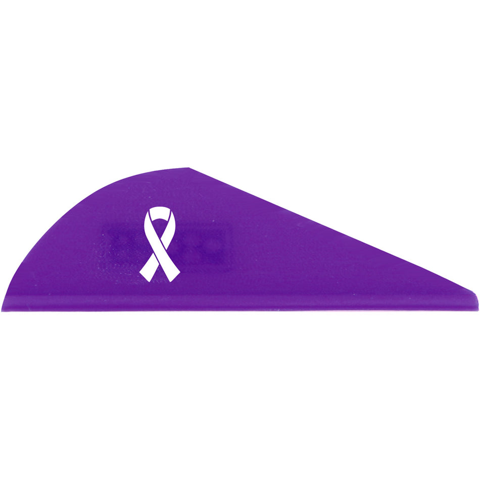 Bohning Blazer Vanes 36 pk. Awareness Purple