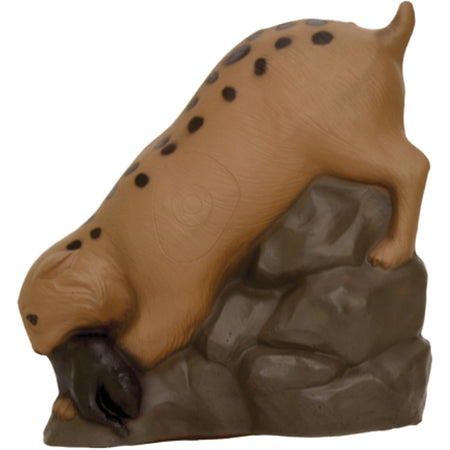 Delta Backyard Bobcat 3D Archery Shooting Target