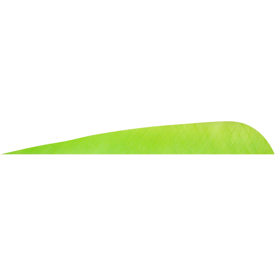 Gateway 4 Inch Chartreuse Right Wing Parabolic Feathers 12 Pack