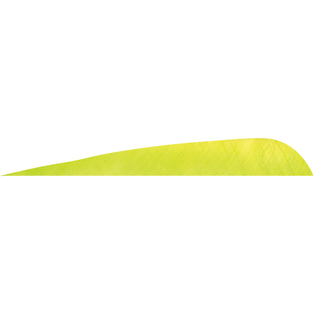Gateway 5 Inch Lime Right Wing Parabolic Feathers 12 Pack