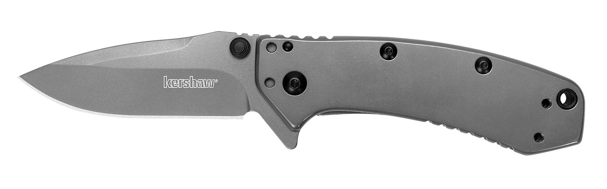 Kershaw Cryo SpeedSafe Assisted Folding Knife 2.75" Gray TiN 8Cr13MoV Drop Point Blade Gray PVD Handle & Clip