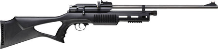 Beeman 1085-22 .22 Cal QB II CO2 Pellet Air Rifle 10 Shot