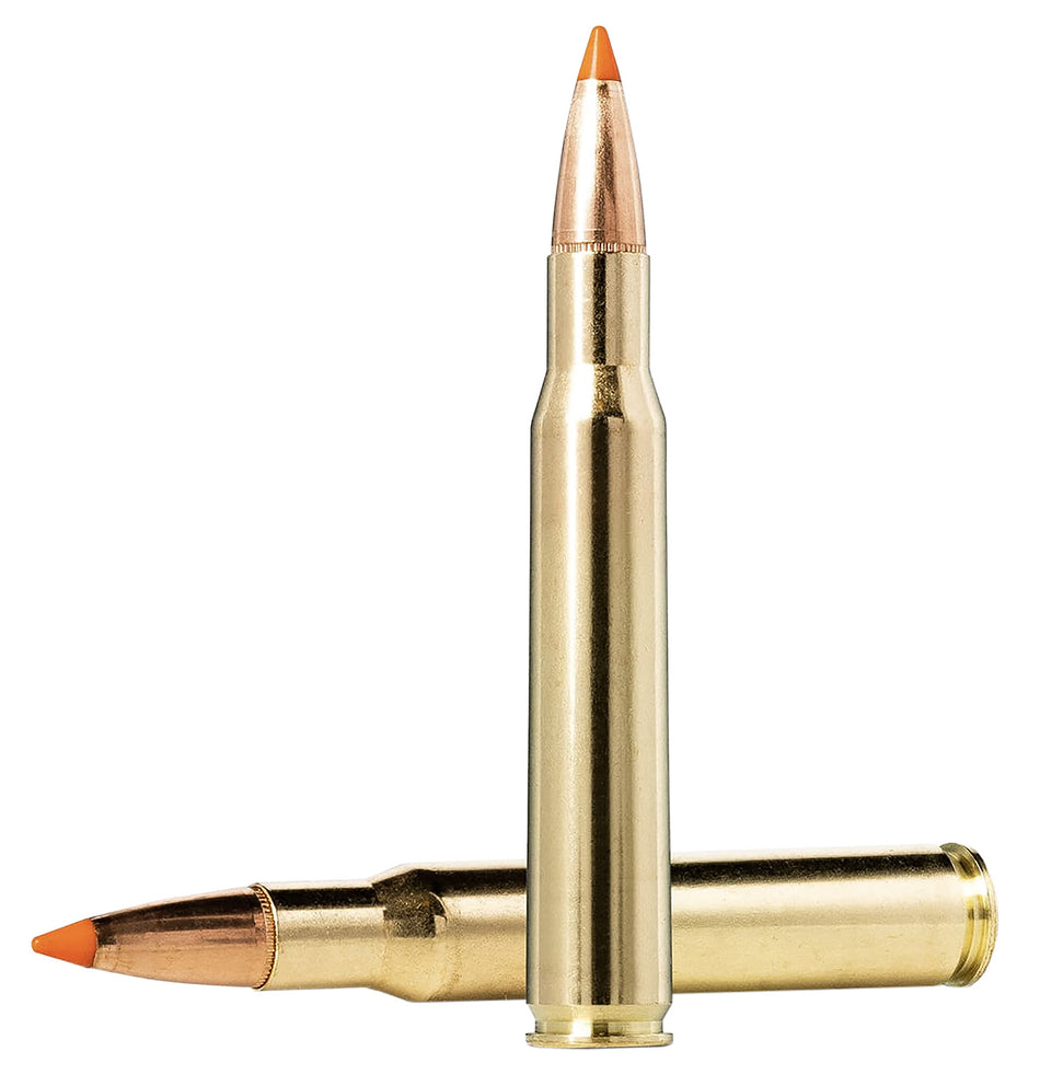 Norma Dedicated Hunting Tipstrike Polymer Tip 170 Grain .30-06 Springfield 2789 fps