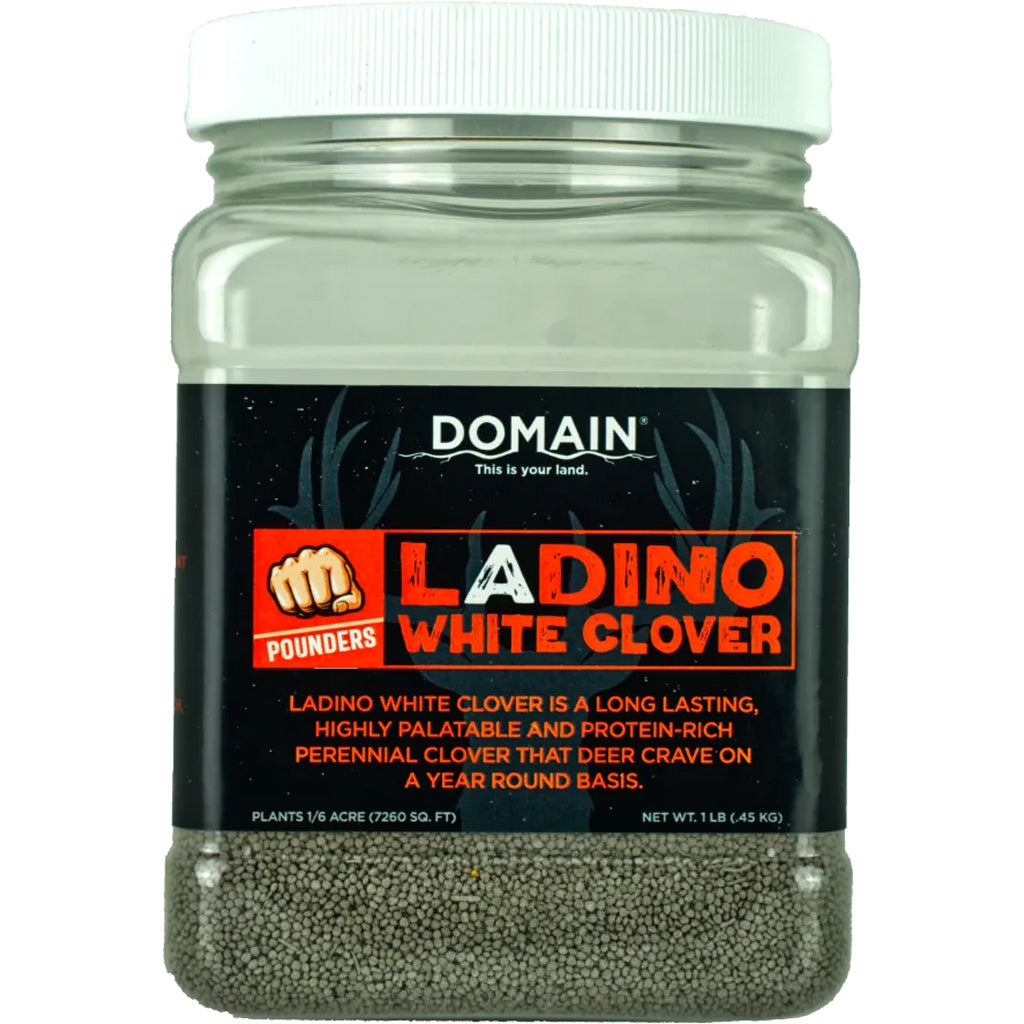 Domain Ladino White Clover Pounder Seed 1 lb Food Plot 1/16 Acre Coverage