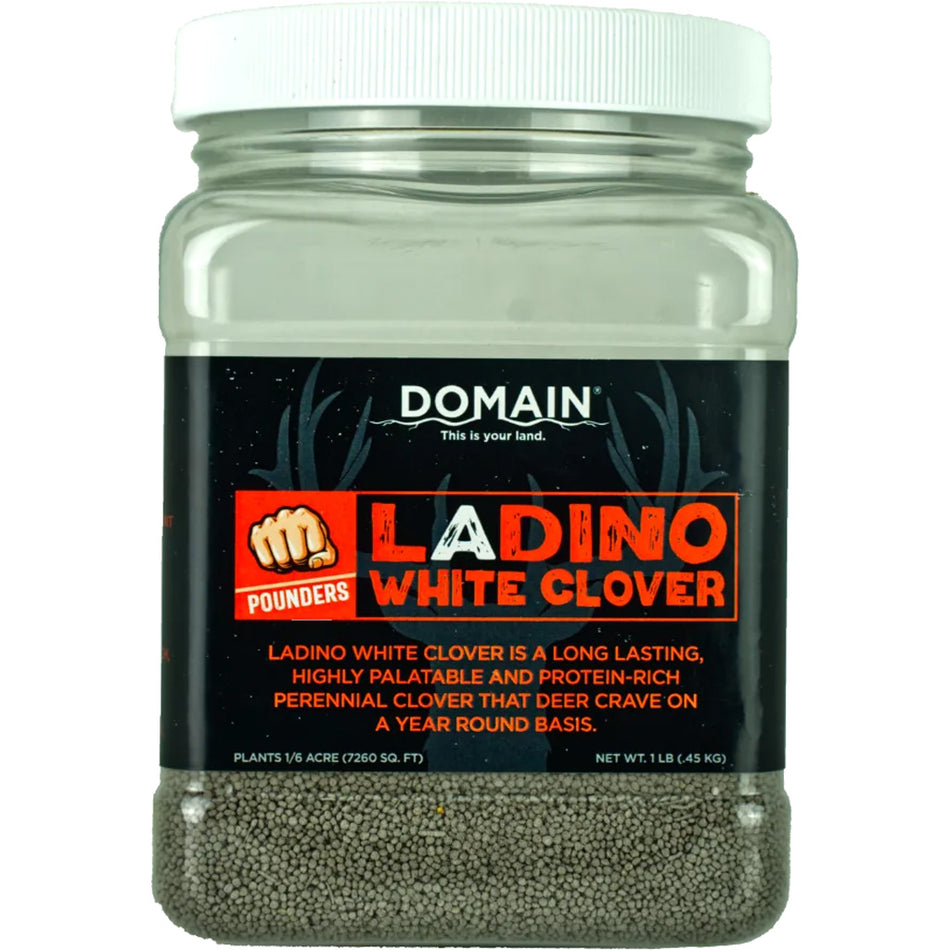 Domain Ladino White Clover Pounder Seed 1 lb Food Plot 1/16 Acre Coverage