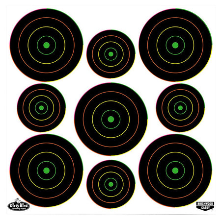 Birchwood Casey Dirty Bird Bullseye Tagboard Target Hanging Pistol/Rifle Black/Green Multi-Ring 20 Per Pkg 35828