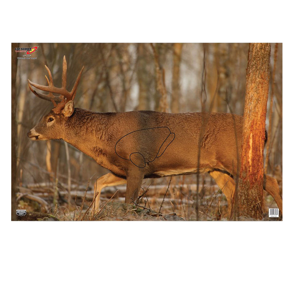 Birchwood Casey 37481 EZE-Scorer 23"x35" Whitetail Deer Paper Hanging Target Multi-Color 2 Per Pkg