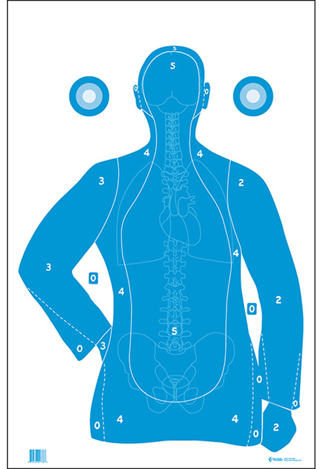 Action Target FB21EANTAV2100 B-21E Anatomy Training Silhouette Paper Hanging Target 23x35 Box of 100