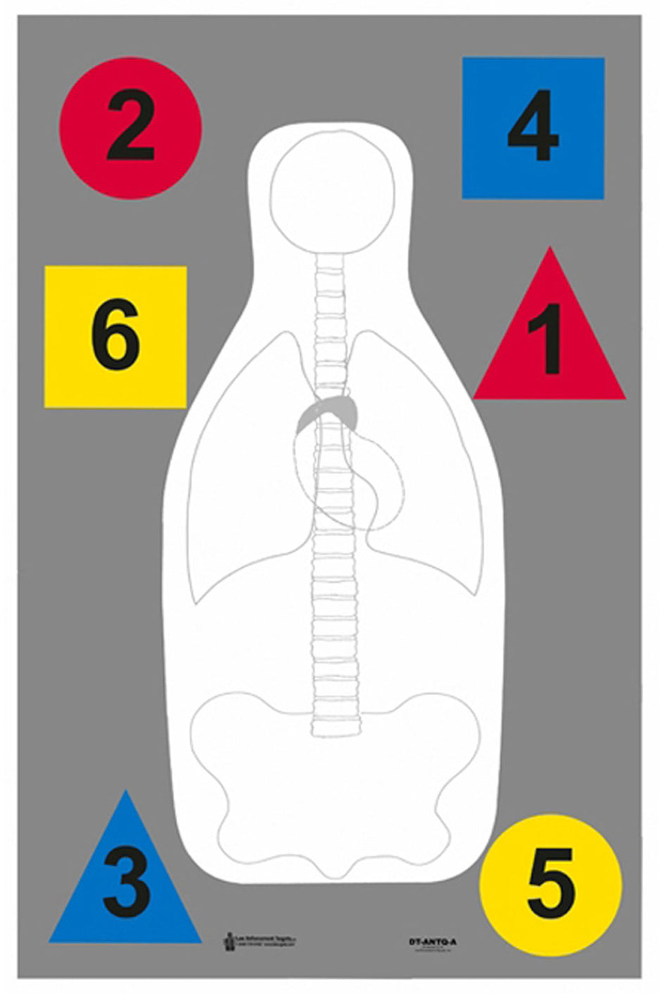 Action Target DTANTQA100 Advanced Training Silhouette Paper Hanging Target Multi-Color 23x35 Box of 100