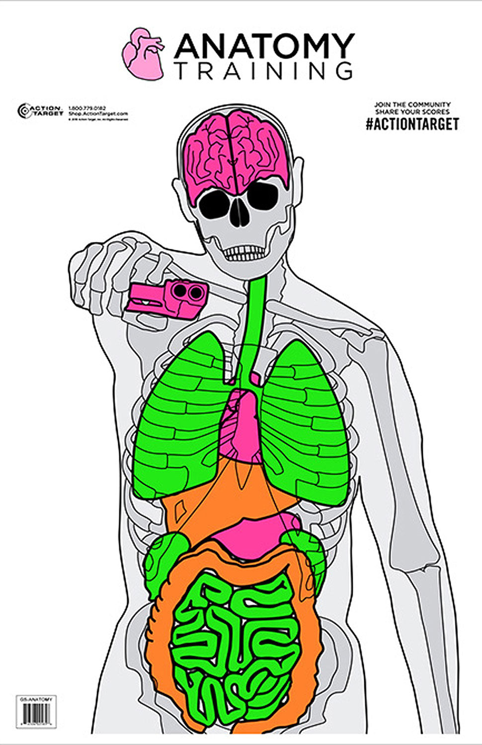 Action Target GSANATOMY100 Anatomy Vitals Silhouette Training Paper Shooting Target 23" x 35" 100 Pack