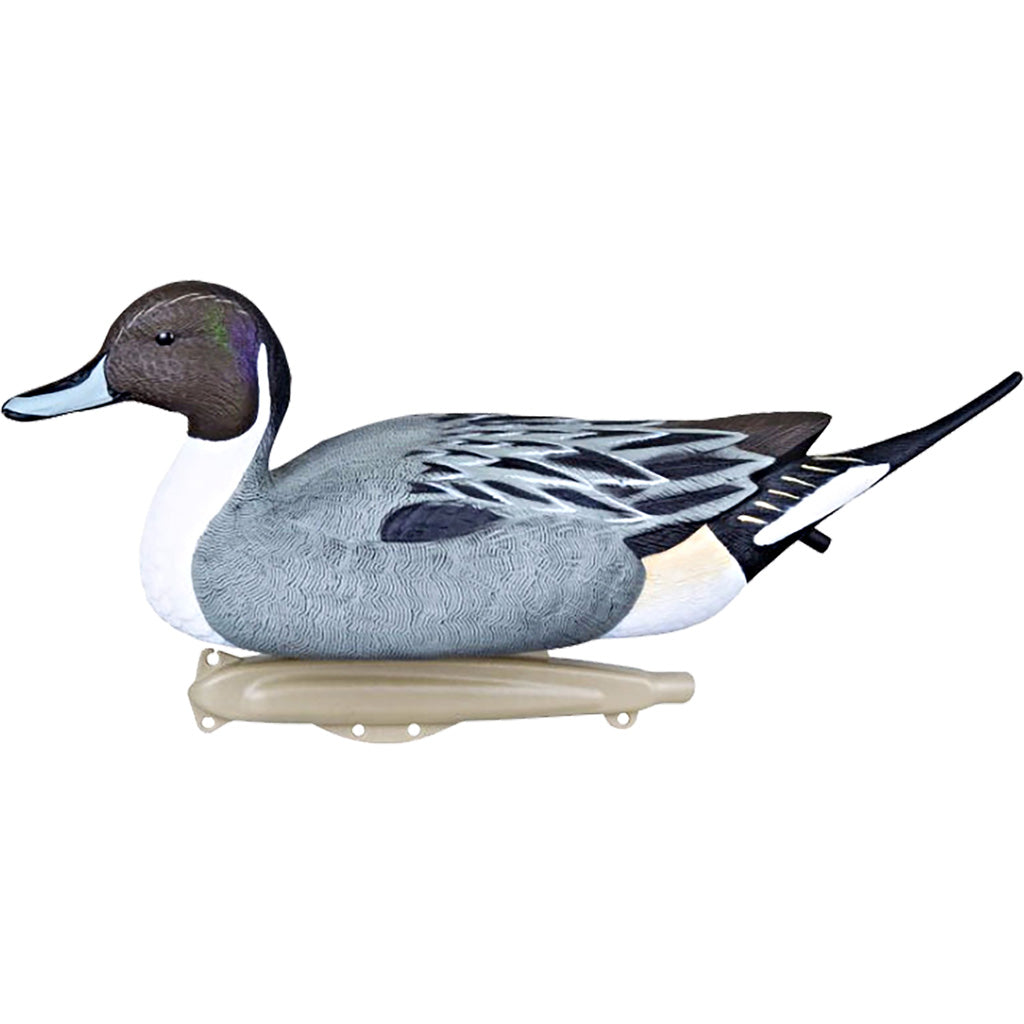 Flambeau Classic Pintail Decoys 6 pk. with 4 Tie-Off Keel Design