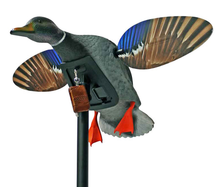 Mojo Outdoors HW24873P Mini Drake Mallard Elite Series Duck Decoy Multi Color Plastic Remote Control