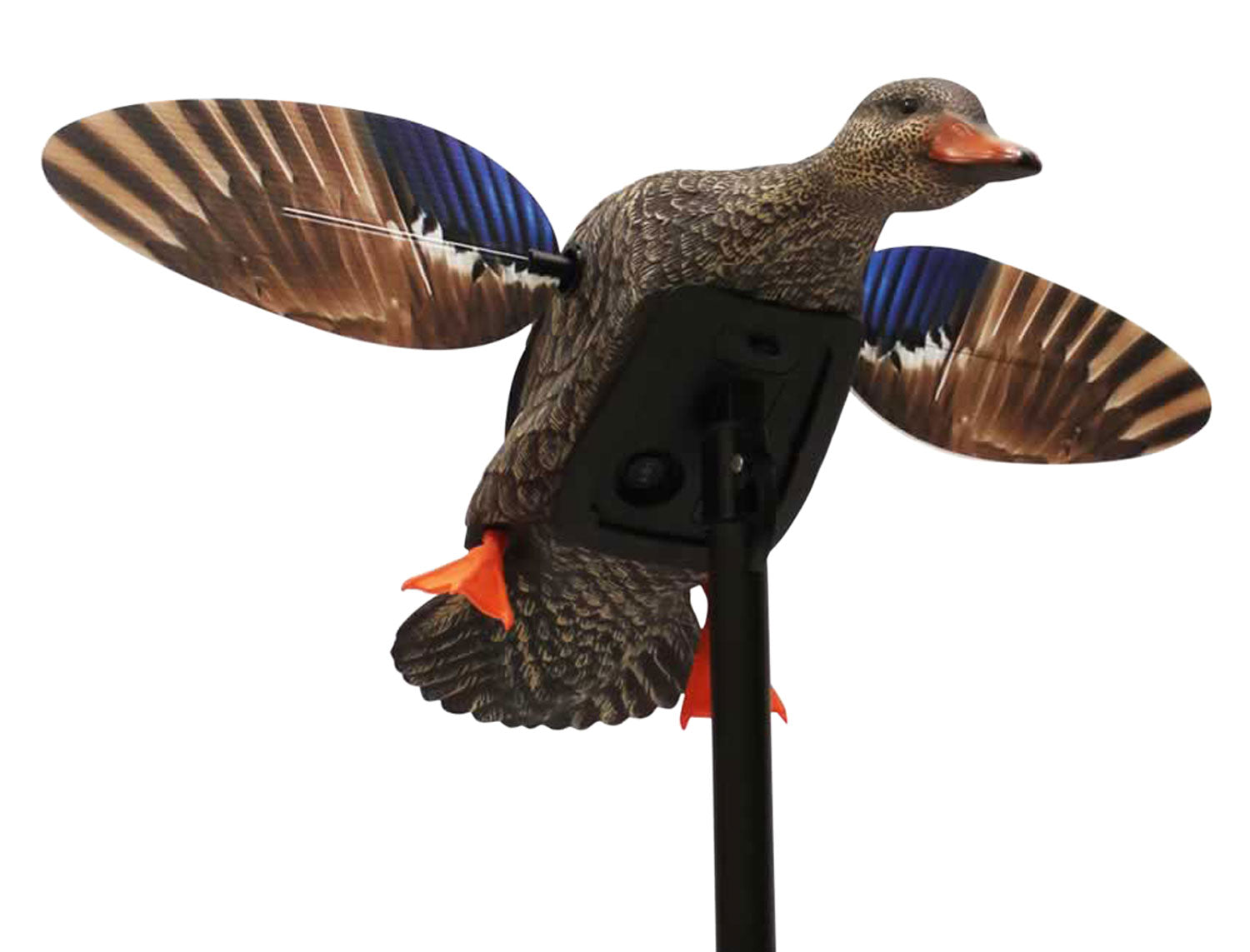 Mojo Outdoors Elite Mini Hen Mallard Species Decoy with Remote Control, Plastic, Multi Color