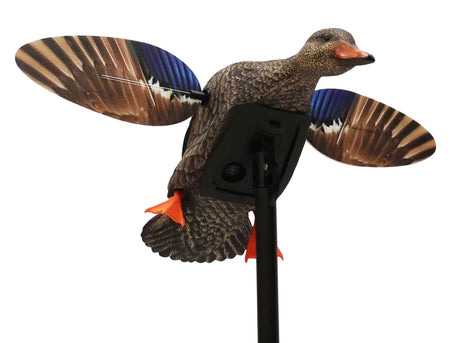 Mojo Outdoors Elite Mini Hen Mallard Species Decoy with Remote Control, Plastic, Multi Color
