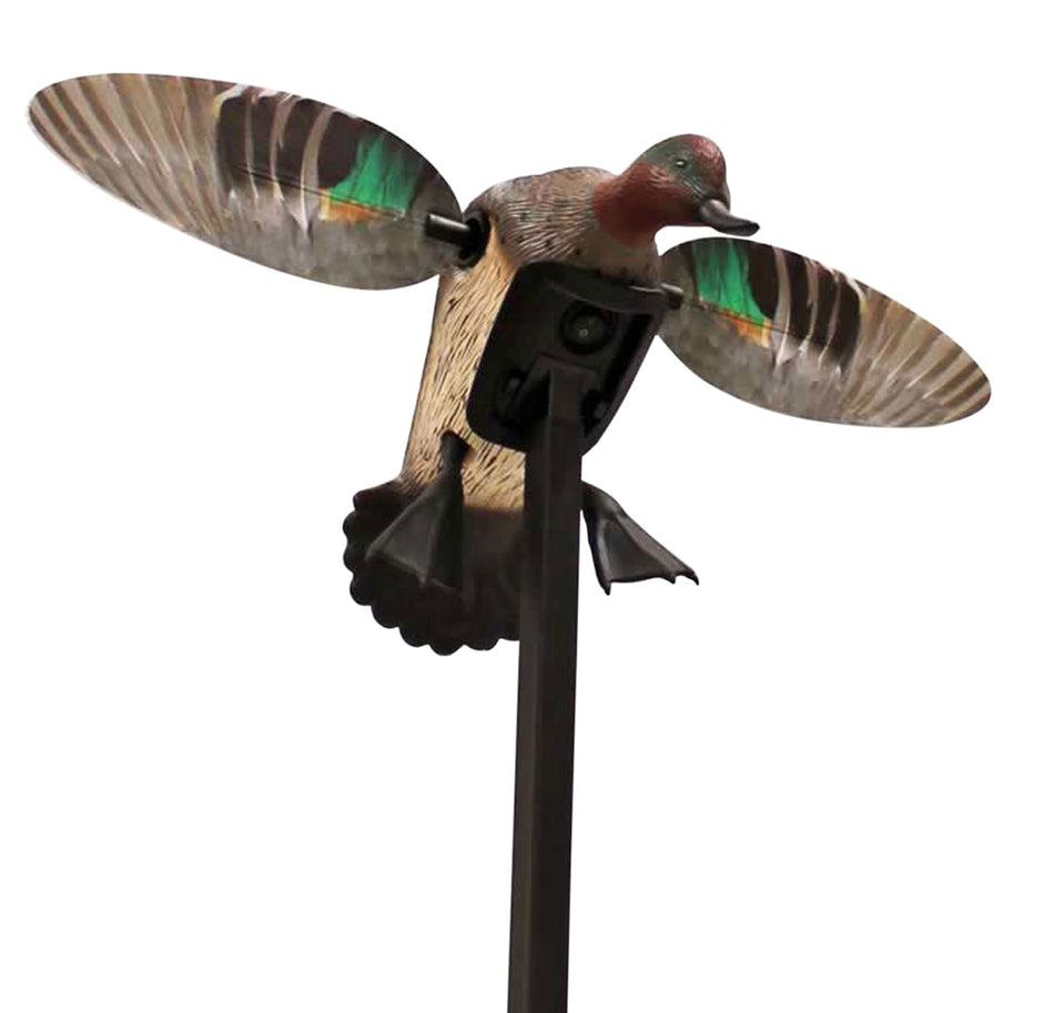 Mojo Outdoors Elite Green Winged Teal Duck Species Spinning Wing Decoy, Remote Compatible