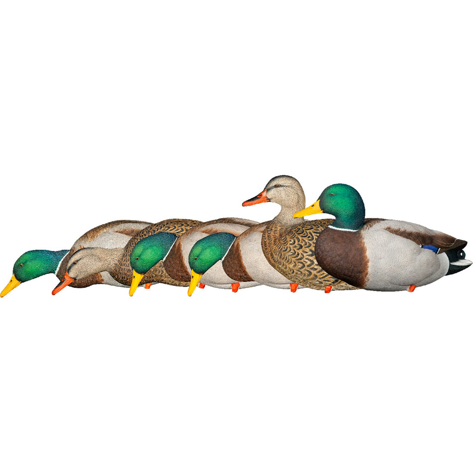 AvianX AXP Fusion Full-Body Mallard Duck Decoy Set 6 Pack