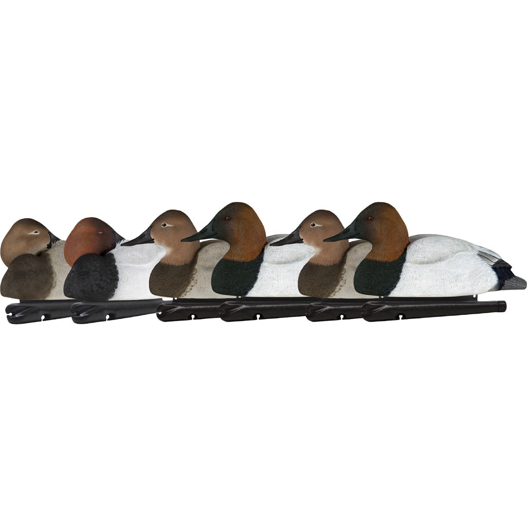 AvianX Top Flight Full-Body Canvasback Hunting Duck Decoy Set 6 Pack