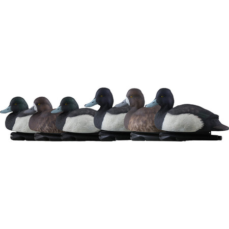AvianX Top Flight Full-Body Blue Bill Hunting Duck Decoy Set 6 Pack