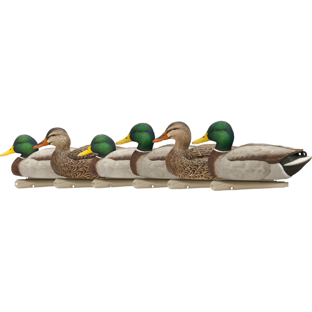 AvianX Top Flight Open Water Mallard Floating Duck Decoy Set 6 Pack
