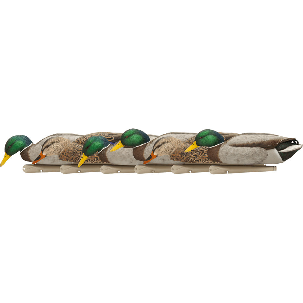 AvianX Top Flight Backwater Mallard Floating Duck Decoy Set 6 Pack