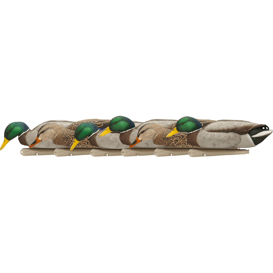 AvianX Top Flight Backwater Mallard Floating Duck Decoy Set 6 Pack