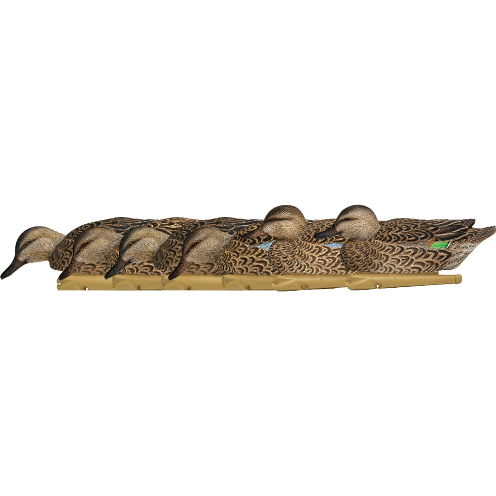 AvianX Top Flight Early Season Teal Floating Duck Decoy Set 6 Pack