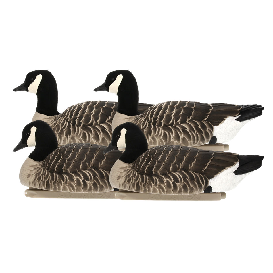 AvianX Top Flight Lesser Canada Goose Flocked Head Floating Decoy Set 4 Pack