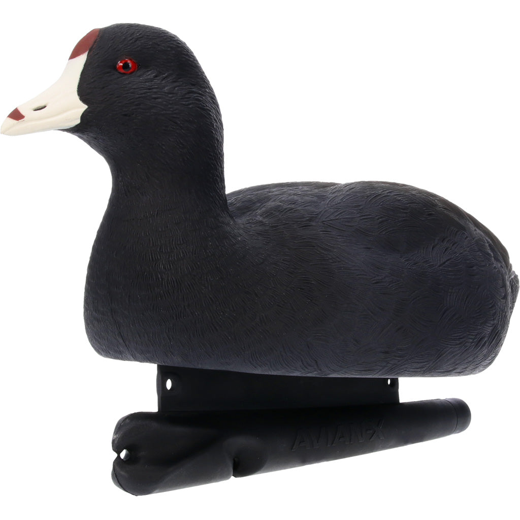 Avian X Topflight Coot Decoy with Large Keel 6 Pack