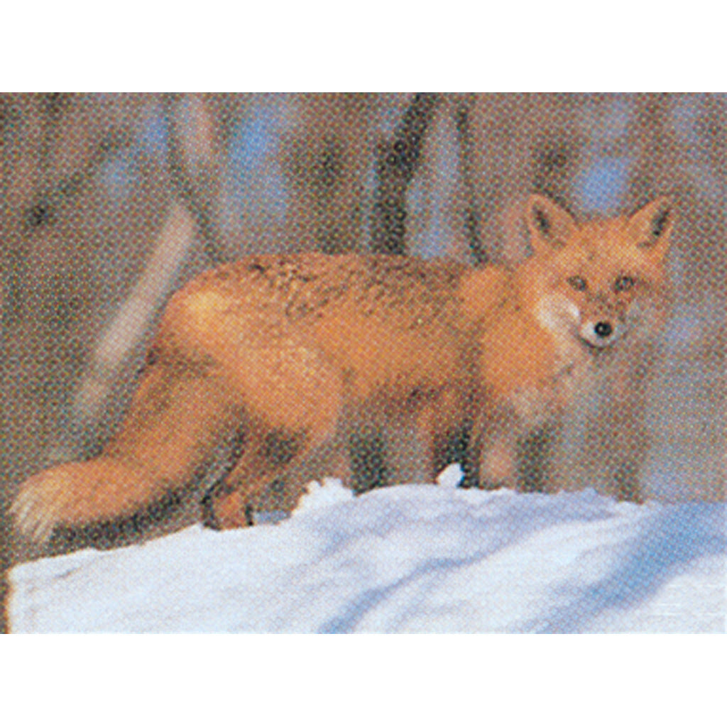 Delta McKenzie Tru-Life Fox Hunting Target with Vital Zones