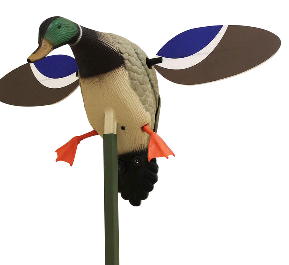 Mojo Outdoors Baby Mojo Mallard Drake Spinning Wing Decoy, Multi Color, Remote Compatible