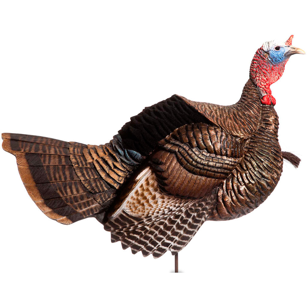 Dave Smith Posturing Jake Turkey Decoy with Flocked Back and Camo Bag