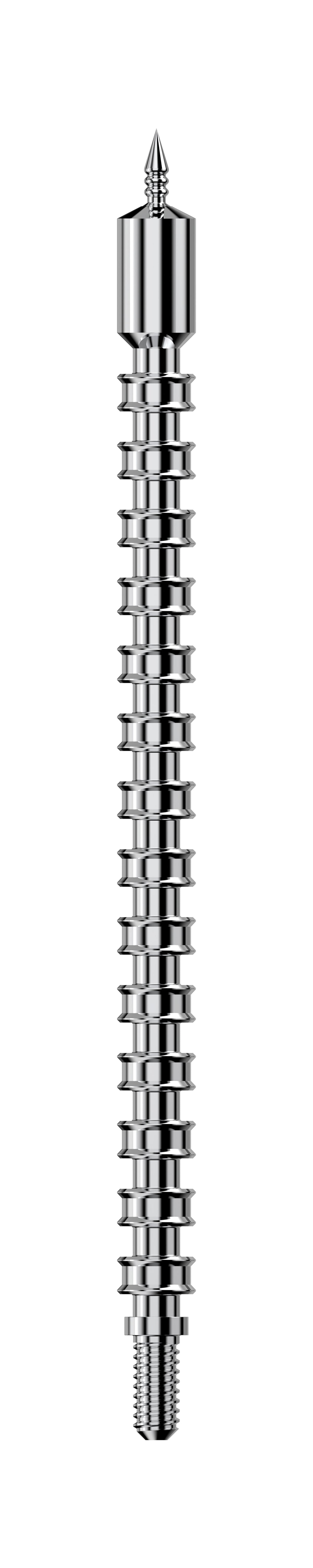 Real Avid 270 Cal Rifle Nickel-Plated Bore-Max Speed Jag with 25 Speed Patches Included