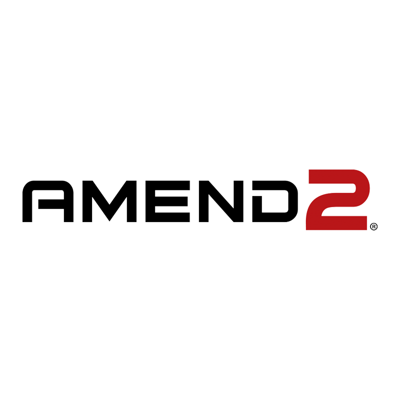 AMEND2 MAGAZINE MOD3 FOR RUGER 10/22 25RD BLACK