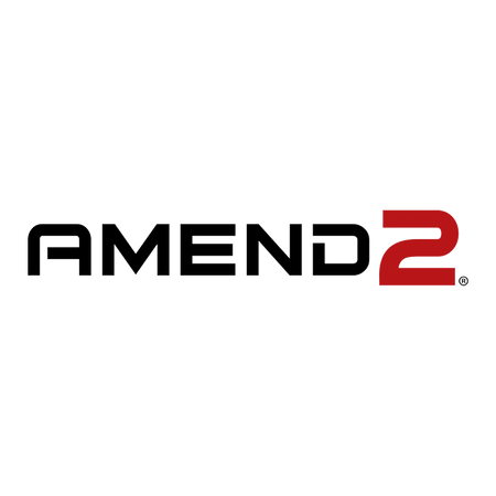 AMEND2 MAGAZINE MOD3 FOR RUGER 10/22 25RD BLACK
