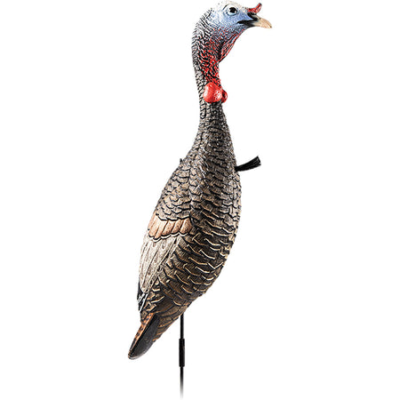 Flextone Funky Chicken Gen 2 Non-Intimidating Turkey Decoy