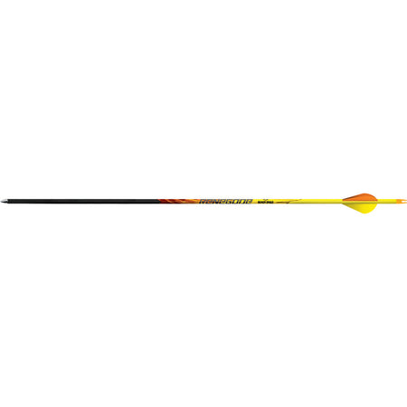 Black Eagle Renegade 350 .005 Small Diameter Carbon Hunting Arrows 6 pk.