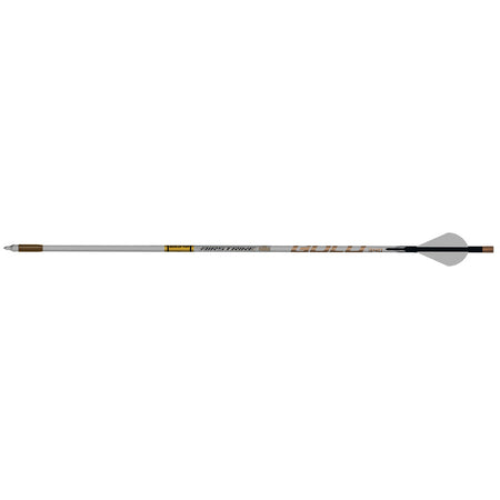 Gold Tip 250 AirStrike Arrows Raptor Vanes 6 pk.