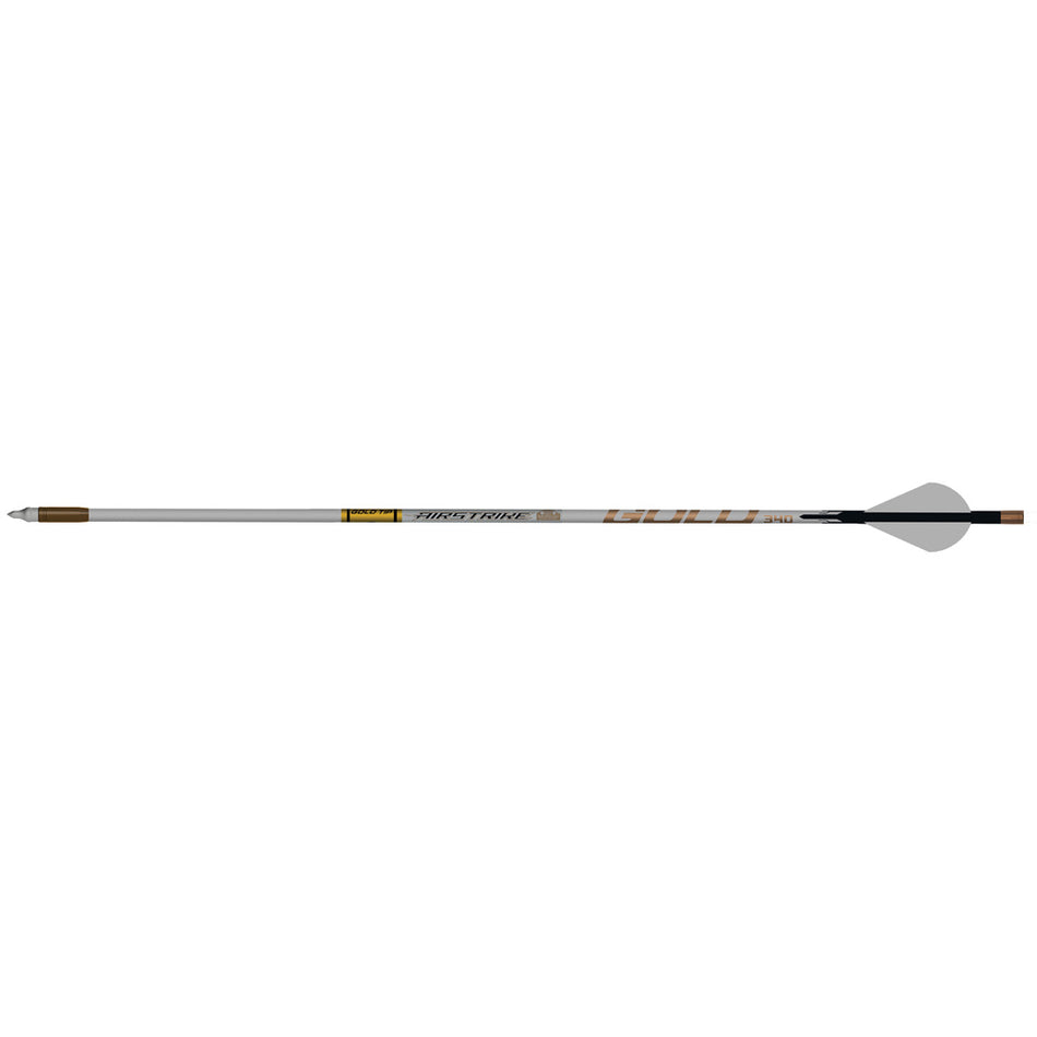 Gold Tip 250 AirStrike Arrows Raptor Vanes 6 pk.