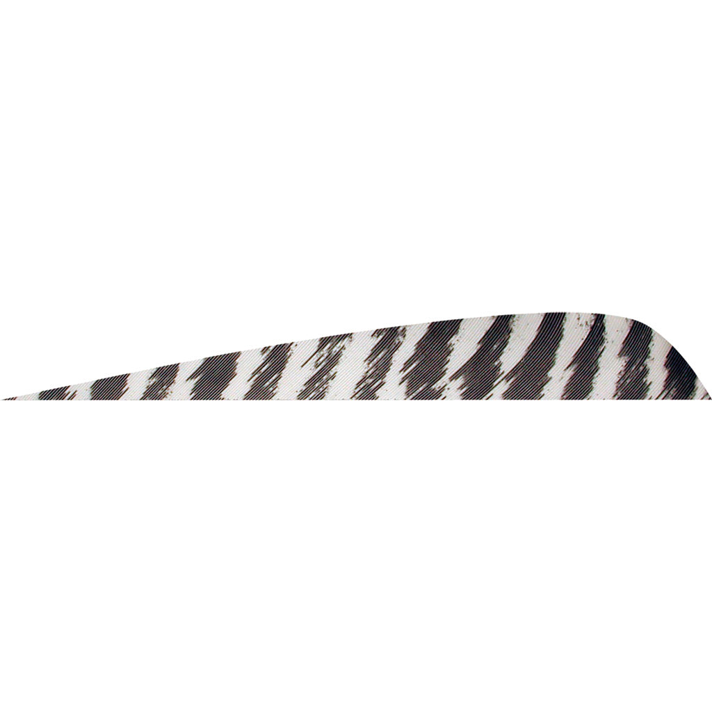 Gateway Parabolic Barred White Arrow Fletching 4 in. LW Pack of 50